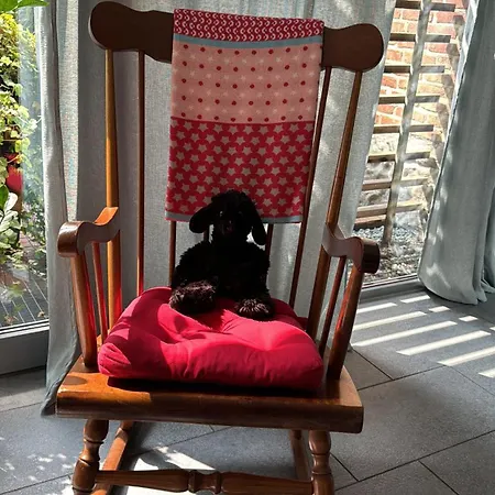 Apartamento Schwarzes Schaf *