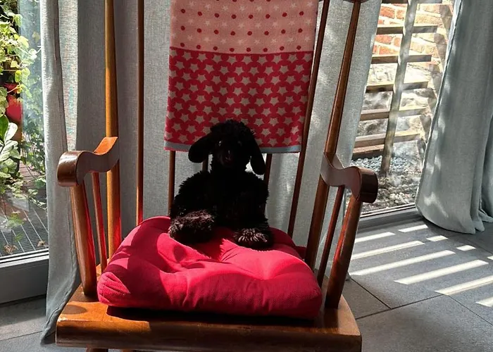 Apartman Schwarzes Schaf *